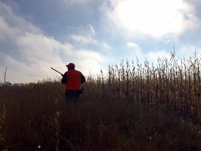 best pheasant hunting  guide service in south dakota