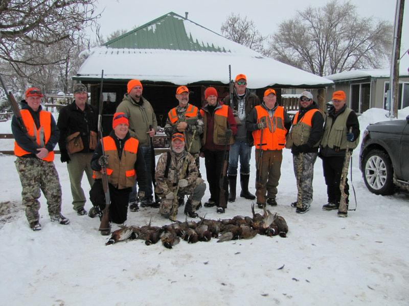 pheasant hunt resort pics