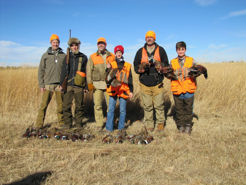 midwest pheasant hunting